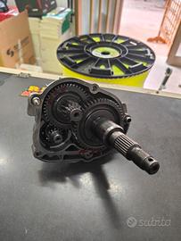 ingranaggio posteriore NRG 50