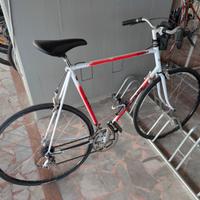 Bici XXL Telaio SAB, Campagnolo Veloce 8v