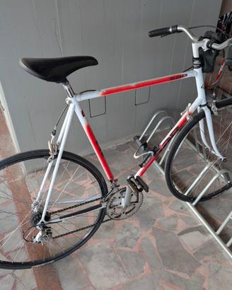 Bici XXL Telaio SAB, Campagnolo Veloce 9v