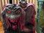 Immagine 4