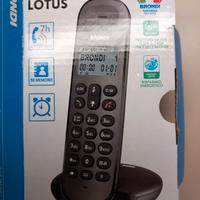 Cordeles Lotus Brondi