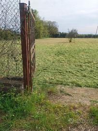 Terreno agrícolo 6000 mq