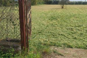 Terreno agrícolo 6000 mq