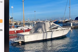 Bertram 28 mooppie diesel