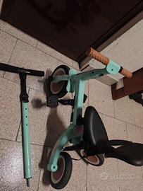 Triciclo evolutivo