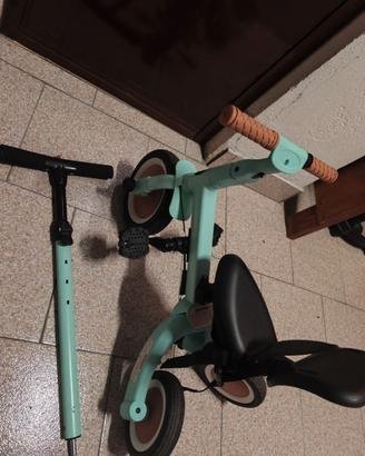 Triciclo evolutivo