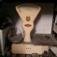 Pesa boschiroli  Isidoro spes