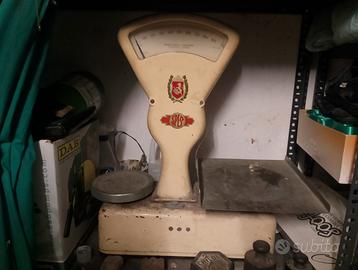 Pesa boschiroli  Isidoro spes