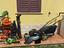 Immagine 1