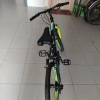 bici Hogan 20"