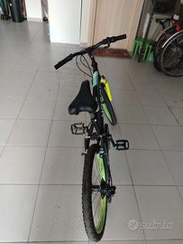 bici Hogan 20"
