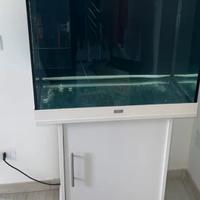 Acquario juwel 200 litri