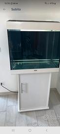 Acquario juwel 200 litri