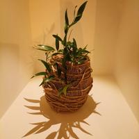 uova di Pasqua stile giapponese Wabi-Sabi 