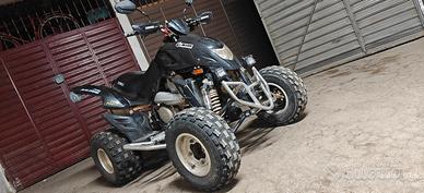 Quad DINLI 450