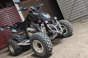 Quad DINLI 450