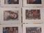 Immagine 6