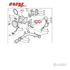 alfa 164_33_155 : guarnizione pompa acqua