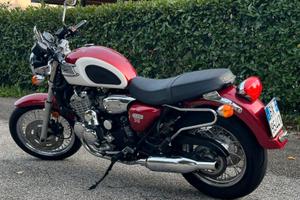 triumph thunderbird 