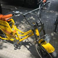 bicicletta elettrica 