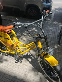 bicicletta elettrica 