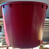 Mastello per mosto