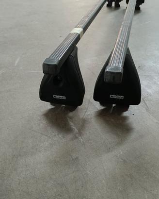staffe Portapacchi Norauto