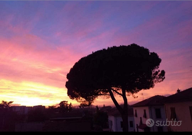 Zona Lucca STADIO, Duplex arredato
