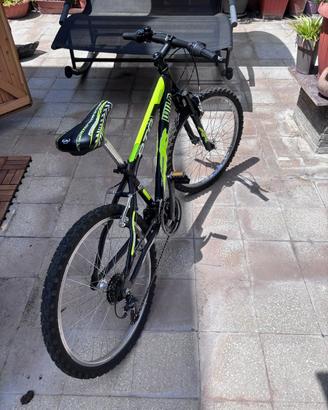 Bicicletta