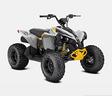 can-am-ds-renegade-youth-