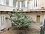 Immagine 28