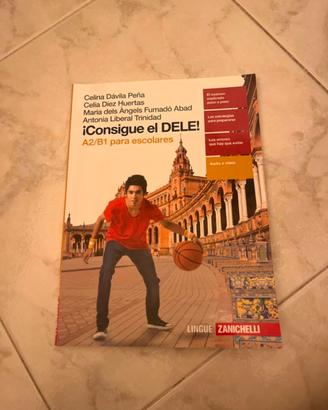 consigue el DELE A2/B1