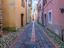 Immagine 6
