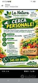commessa frutta e verdura 