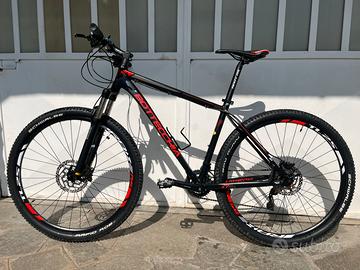 Bottecchia Gavia 29