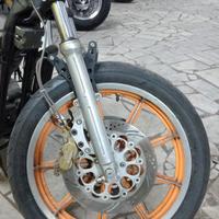 FORCELLA ANTERIORE DOPPIO FRENO A DISCO ANT.