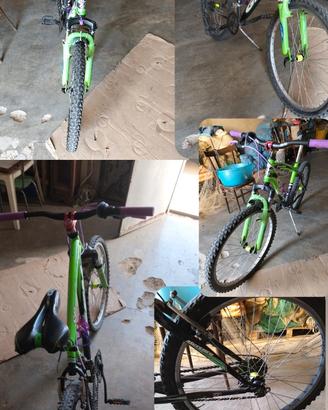 bici MTB gfm