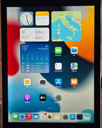 iPad Air 2