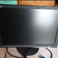 Monitor Asus 19 pollici