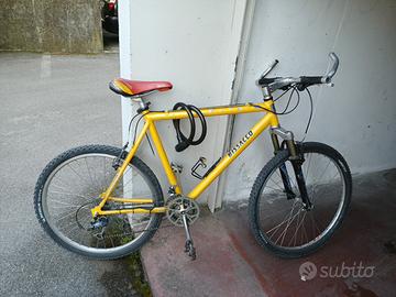 MOUNTAIN BIKE ALLUMINIO 