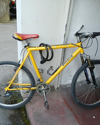 MOUNTAIN BIKE ALLUMINIO 