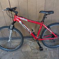 Mountain Bike Bianchi