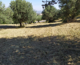 Terreno agricolo edificabile