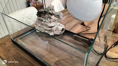 tartarughiera d acqua 