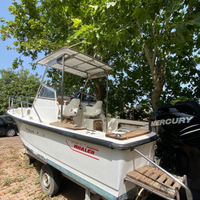 Boston Whaler 21 autrage del 2003