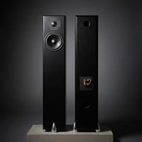 Diffusori Totem Hawk 