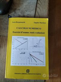 Calcolo numerico esercizi bergamaschi martinez