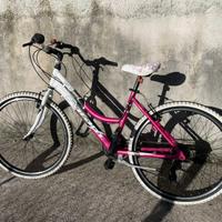 Bici Faram Lady 26 Alloy