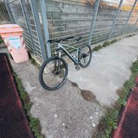 Bicicletta mountain bike