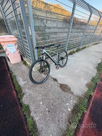 Bicicletta mountain bike